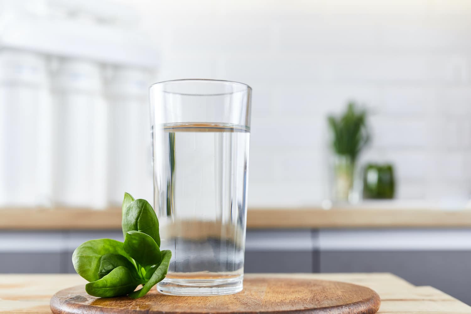 water softener dripping springs