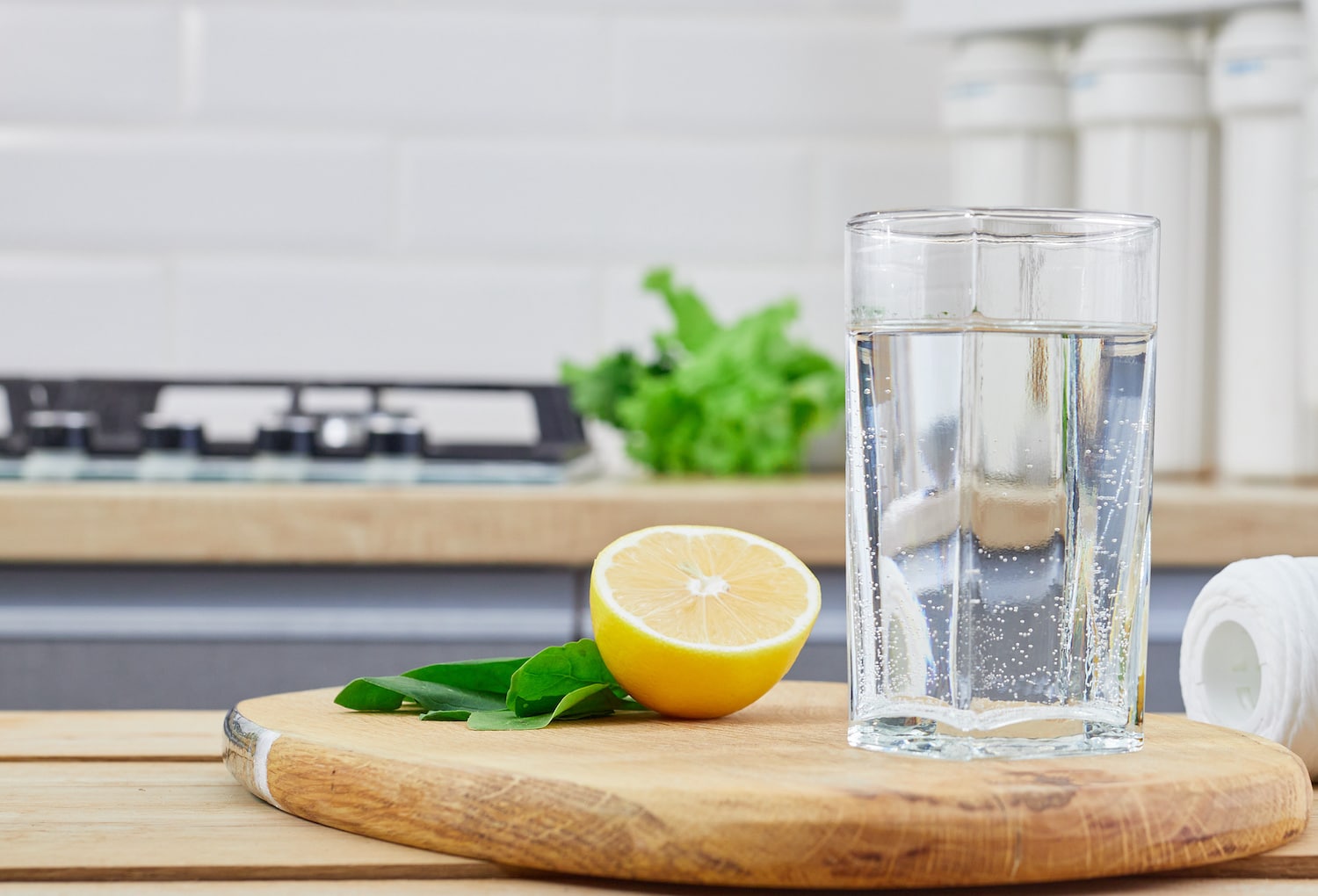 Whole-Home Water Softening Dripping Springs