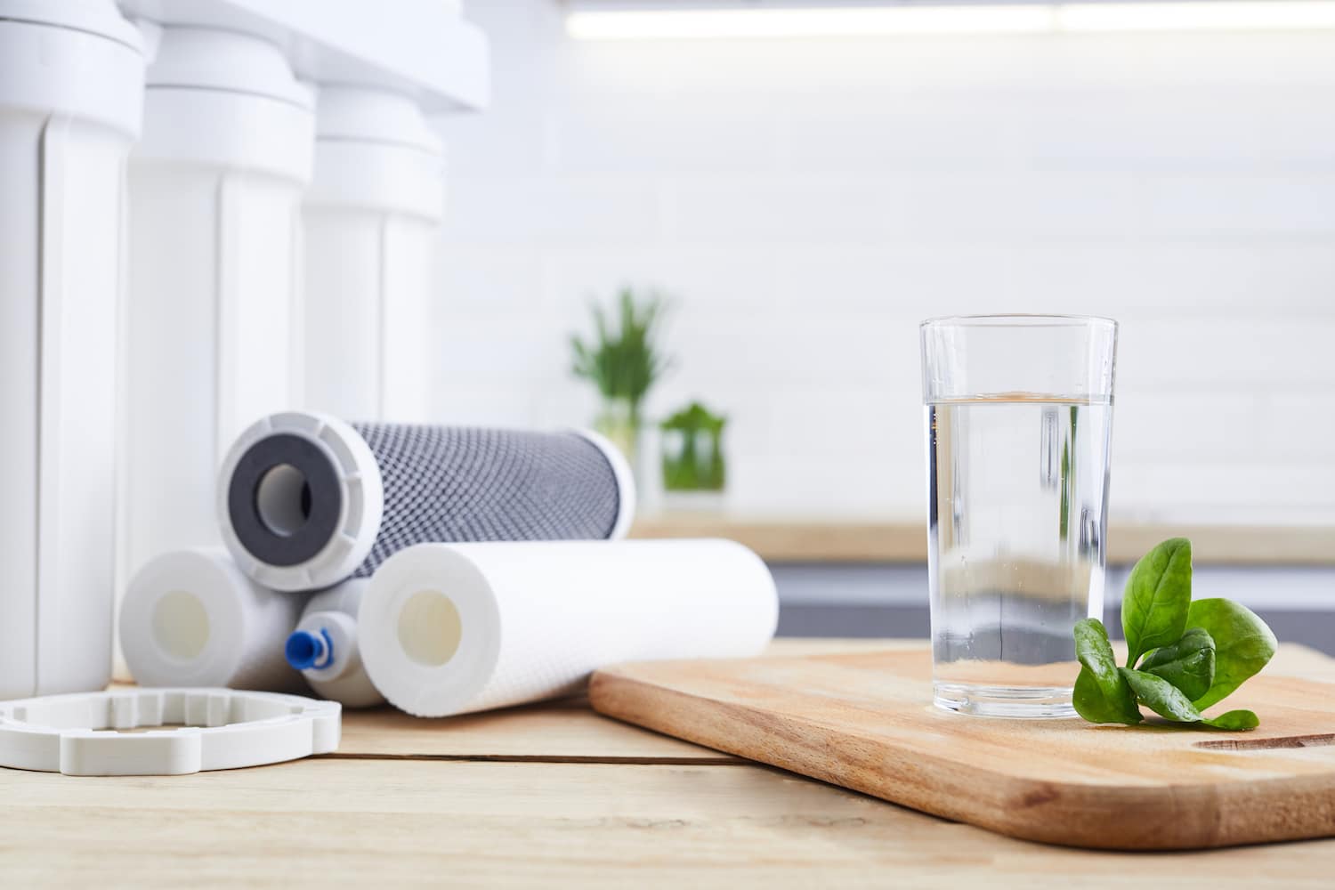 Water Filter in Round Rock