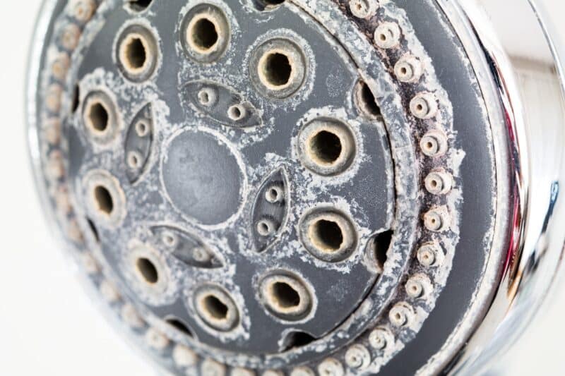 close up macro of round, silver shower head with hard water deposits around all of the sprinklers
