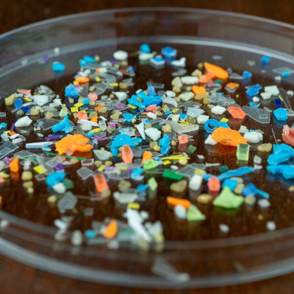 A petri dish filled with colorful microplastic particles on a wooden surface